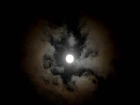 Under a Dark Moon