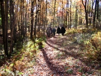 October, 2006