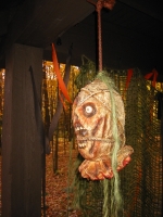 Awards for October, 2008