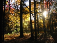 October, 2008