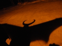 February, 2009 (Festival - Roonfax Manor)
