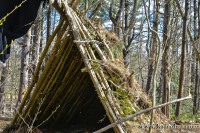 Cabin of the Month Cabin of the Month