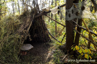 Cabin of the Month Cabin of the Month