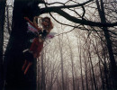Fairies Fairies