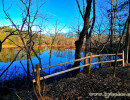 Pond by Alisandria