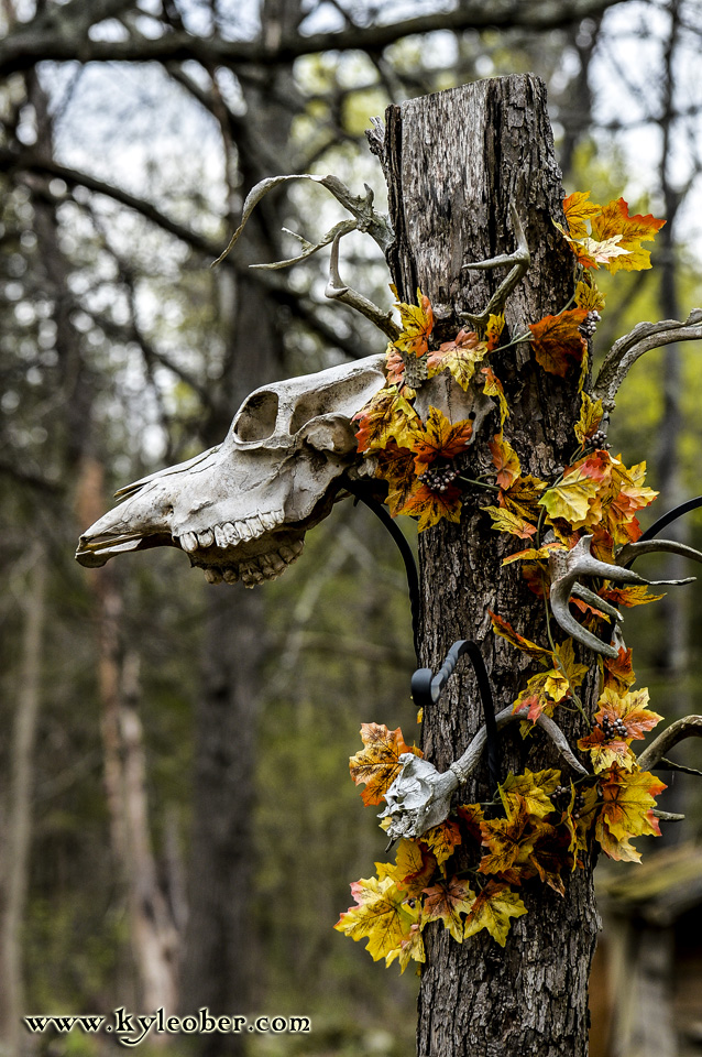 Skull Tree