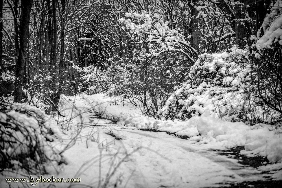 Winter Path