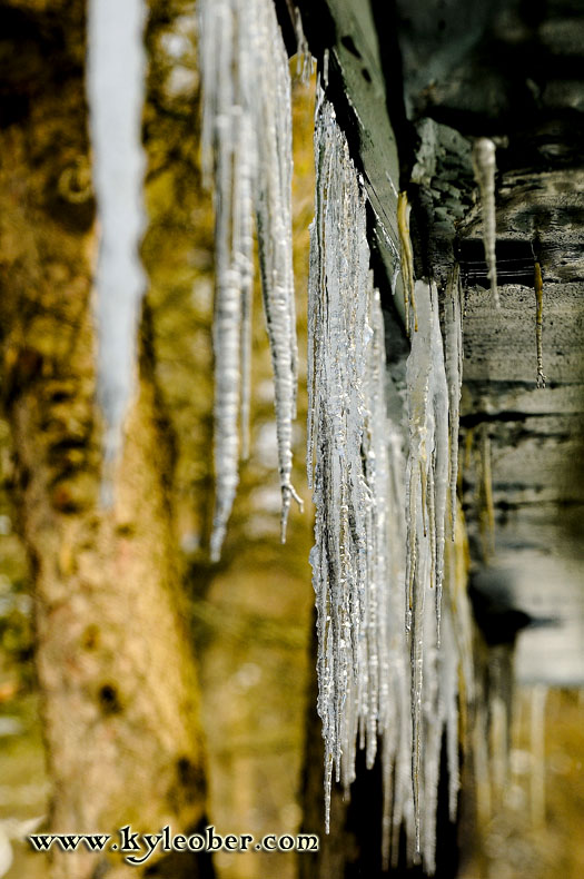 Icicles