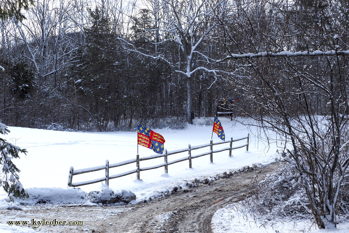 Winter Flags