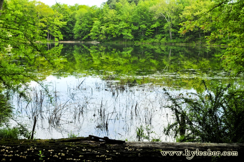 Pond