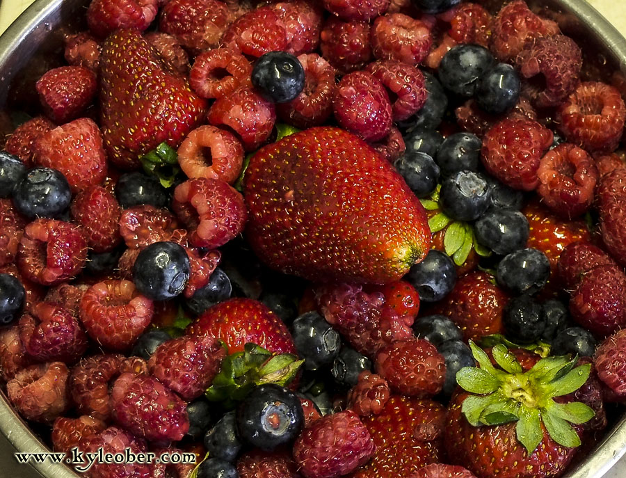 Bowl of Berries