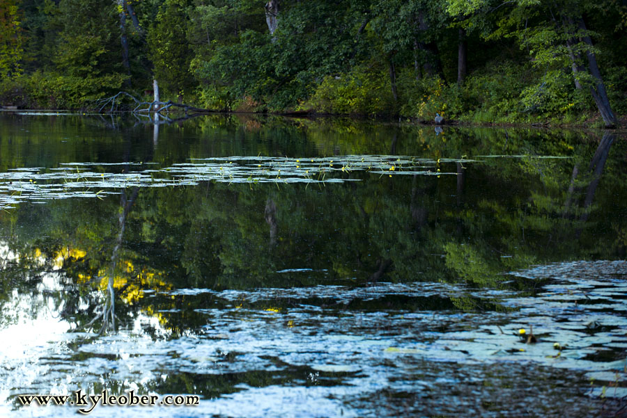 Pond