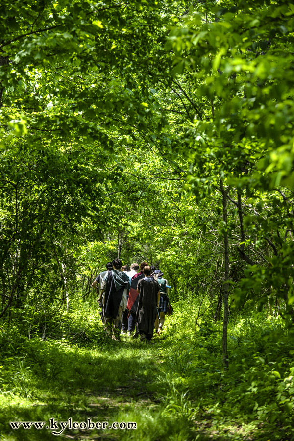 A Walk through the Woods