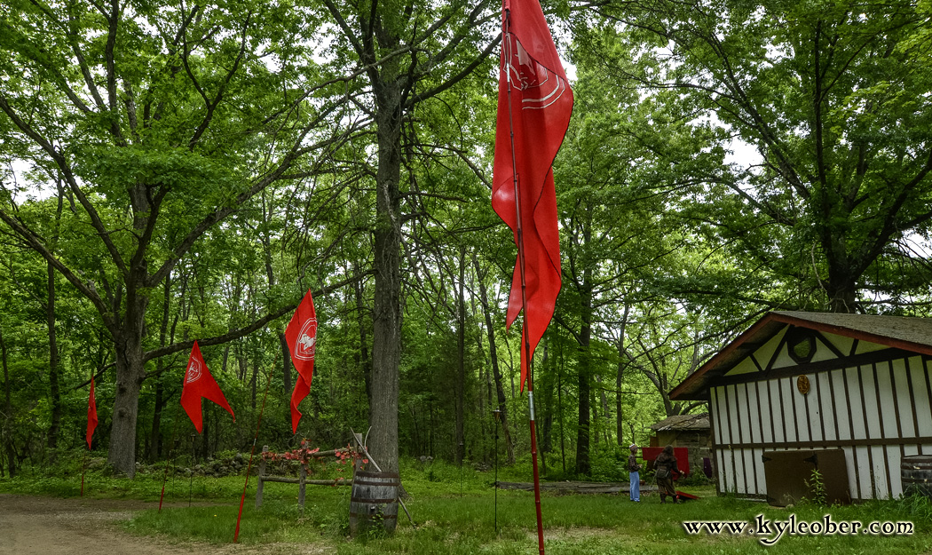 Alisandria Flags