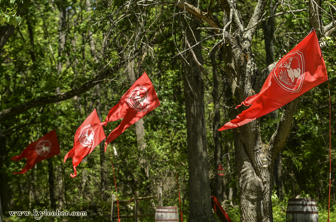 Alisandrian Flags