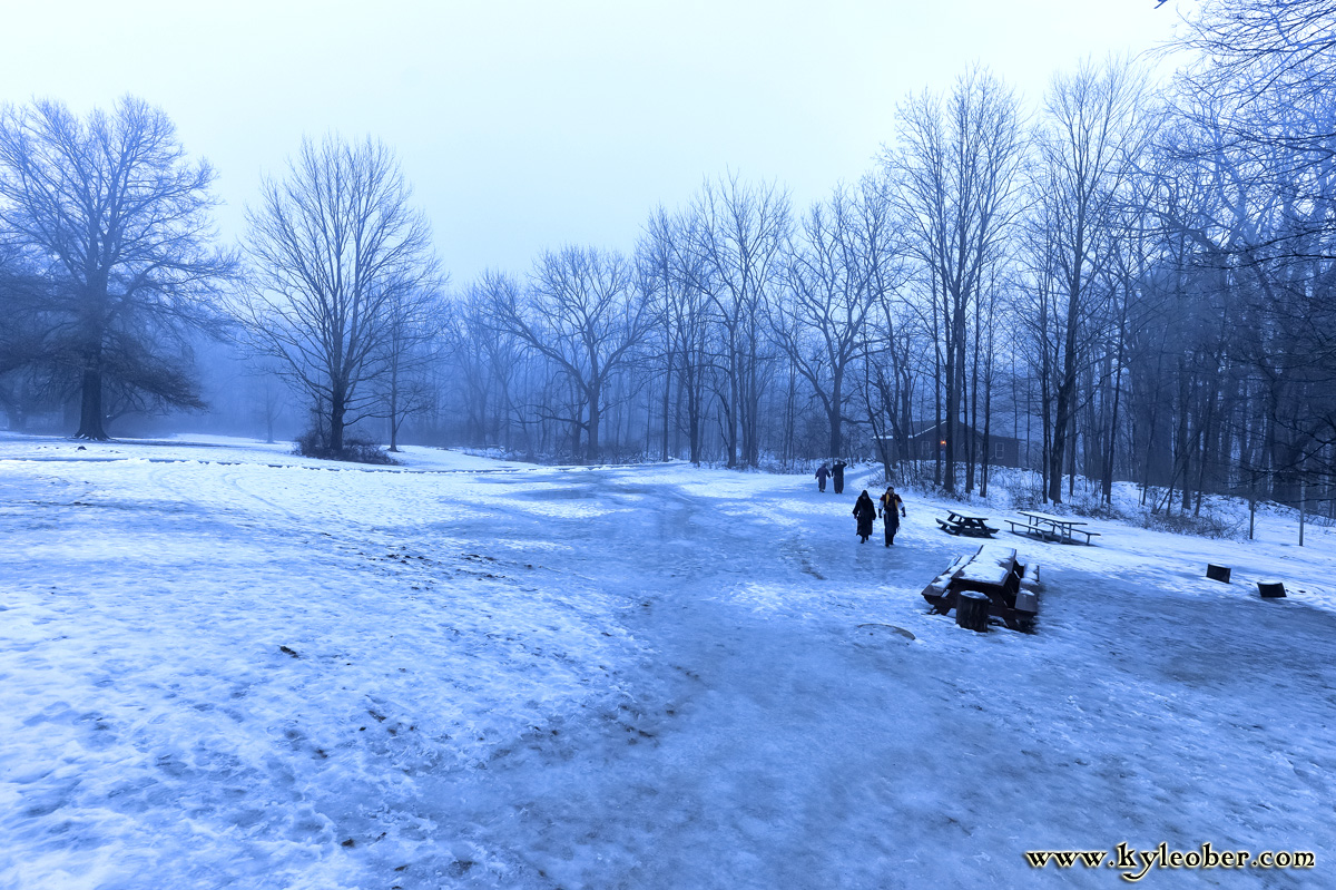 Snowy Field