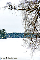 Frozen lake