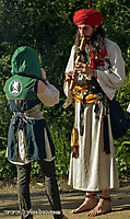 Squire Amalthea and the Traveler